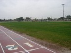 Enlarge photo 74