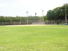 Enlarge photo 67