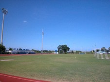 Enlarge photo 94