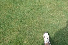 Enlarge photo 139