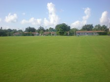 Enlarge photo 81
