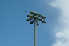Enlarge photo 75
