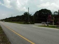 Enlarge photo 34