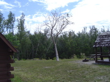 Enlarge photo 74