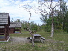 Enlarge photo 78