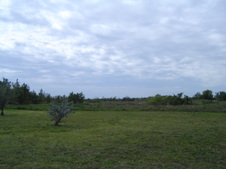 Enlarge photo 95