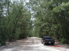 Enlarge photo 50