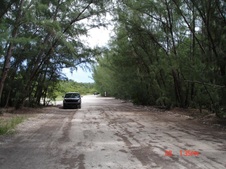 Enlarge photo 51