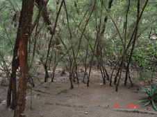 Enlarge photo 53