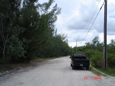 Enlarge photo 54