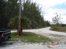 Enlarge photo 55