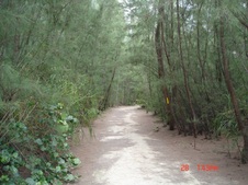 Enlarge photo 56