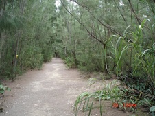 Enlarge photo 57