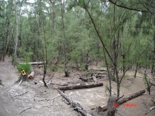 Enlarge photo 58