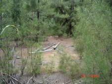 Enlarge photo 59