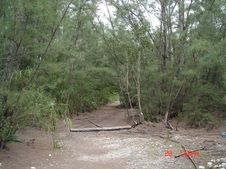 Enlarge photo 60