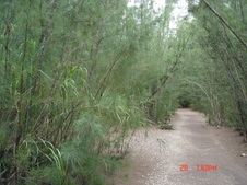 Enlarge photo 61