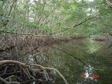 Enlarge photo 62