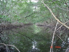 Enlarge photo 63