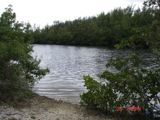 Enlarge photo 66