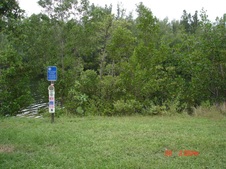 Enlarge photo 68