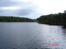 Enlarge photo 70