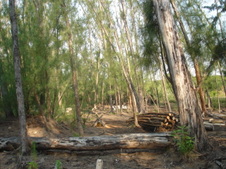 Enlarge photo 83