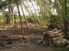 Enlarge photo 84