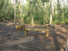 Enlarge photo 87