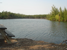 Enlarge photo 72