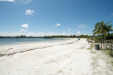 Enlarge photo 98