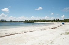 Enlarge photo 99