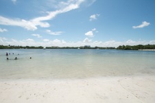 Enlarge photo 96