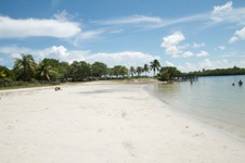 Enlarge photo 103