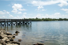 Enlarge photo 105