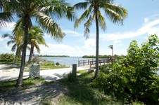Enlarge photo 113