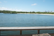 Enlarge photo 124