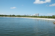 Enlarge photo 121