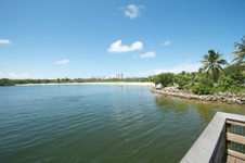 Enlarge photo 132