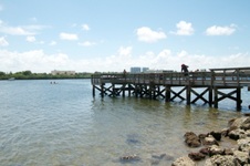 Enlarge photo 133