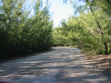 Enlarge photo 80
