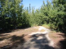 Enlarge photo 81