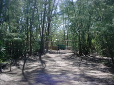 Enlarge photo 30