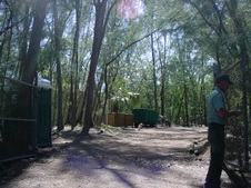 Enlarge photo 31