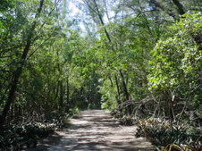 Enlarge photo 32