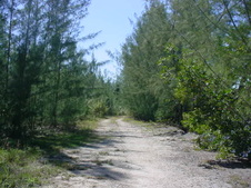 Enlarge photo 33