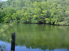 Enlarge photo 34
