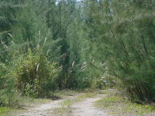 Enlarge photo 35