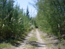 Enlarge photo 36