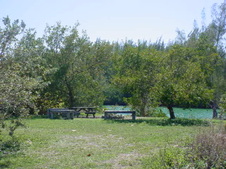 Enlarge photo 10